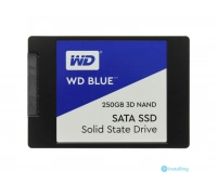 Western Digital WDS250G2B0A