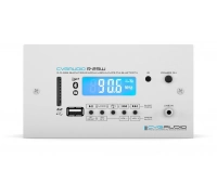 Миниатюрный настенный микшер-усилитель CVGaudio R-25W