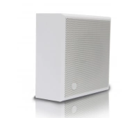 CVGaudio WPS6T