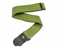 Planet Waves PWS107