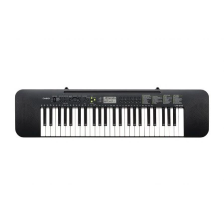 Изображение 1 (Синтезатор Casio CTK 240)