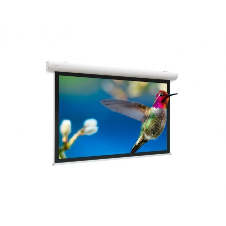 Изображение 1 (Экран для проектора с электроприводом Projecta Elpro Concept 228x300 см (143