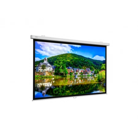 Экран для проектора настенный рулонный Projecta Proscreen CSR 154x240 см (112