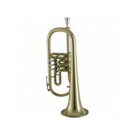 Изображение 1 (Флюгельгорн Bb V.F. Cerveny CFH 401-O)
