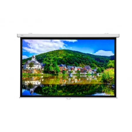 Настенный рулонный экран Lumien Master Picture CSR 196x244см (109