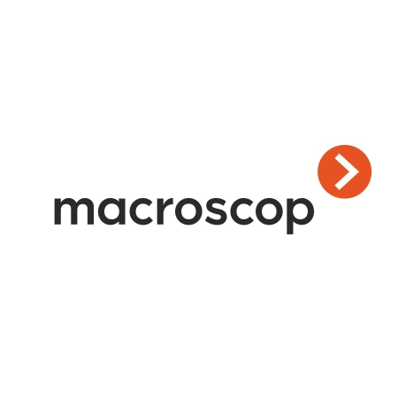 Программное обеспечение (опция) MACROSCOP Расширение с LS до ST