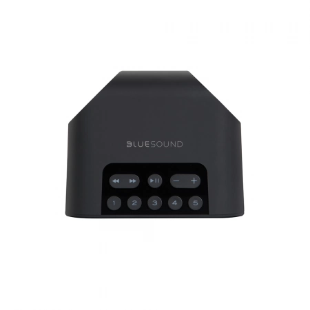 Изображение 2 (Hi-Fi медиаплеер со встроенной акустической системой Bluesound Pulse Flex 2i Black)