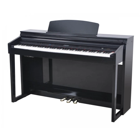 Изображение 1 (Цифровое фортепиано Artesia DP-150E Black)