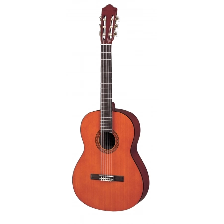 Изображение 2 (Гитара Yamaha CS40)