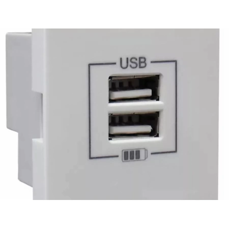 Розетка USB двойная Efapel Розетка USB двойная, зарядная, белая (45439 SBR)