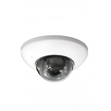 IP-камера купольная EverFocus ACE-KH26