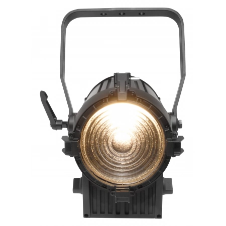 Изображение 1 (Светодиодный прожектор направленного света CHAUVET-PRO Ovation F-95WW)