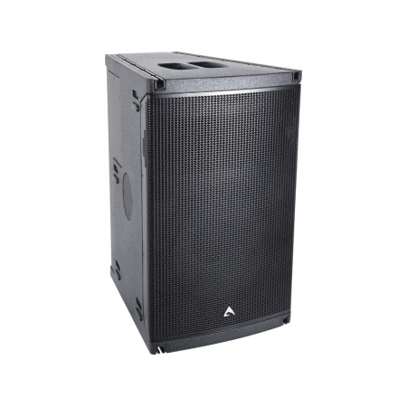 Изображение 1 (Активный элемент линейного массива Axiom AX1012A)