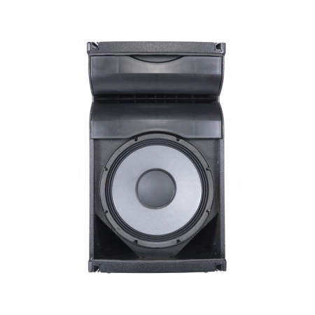 Изображение 10 (Активный элемент линейного массива Axiom AX1012A)