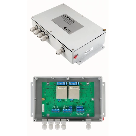 Извещатель охранный периметровый трибоэлектрический двухзоновый СКИЗЭЛ Гюрза-2К