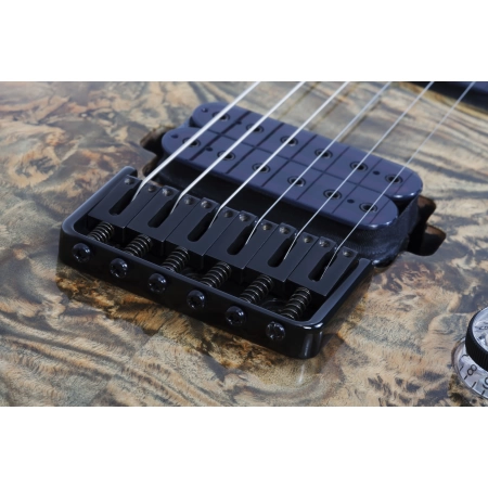 Изображение 15 (Гитара электрическая Schecter OMEN ELITE-6 STBB)