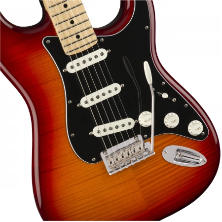 Изображение 2 (Электрогитара Fender PLAYER STRAT PLS TOP MN ACB)