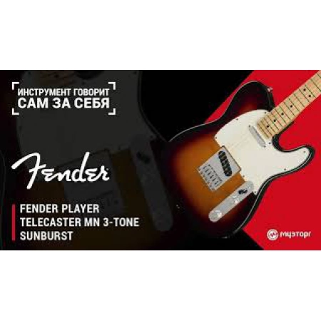 Изображение 2 (Электрогитара Fender PLAYER TELE MN BLK)
