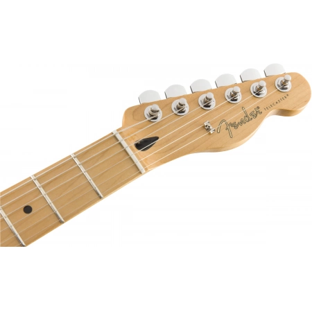 Изображение 4 (Электрогитара Fender PLAYER TELE MN BTB)