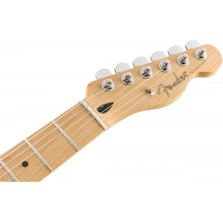 Изображение 4 (Электрогитара Fender PLAYER TELE MN PWT)