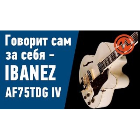 Изображение 2 (Полуакустическая гитара IBANEZ AF75 BS)