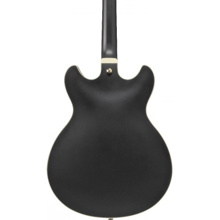 Изображение 5 (Полуакустическая электрогитара IBANEZ AS73G-BKF)