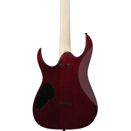 Изображение 6 (Электрогитара IBANEZ GRGR221PA-AQB)