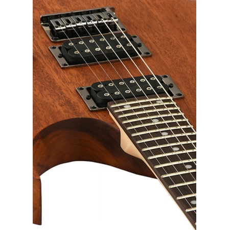 Изображение 4 (Электрогитара IBANEZ RG421-MOL)