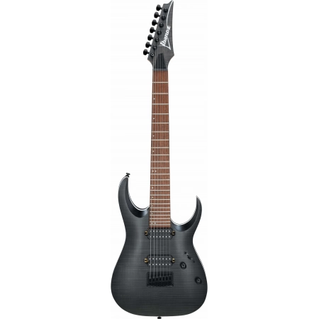 Изображение 1 (Электрогитара IBANEZ RGA742FM-TGF)