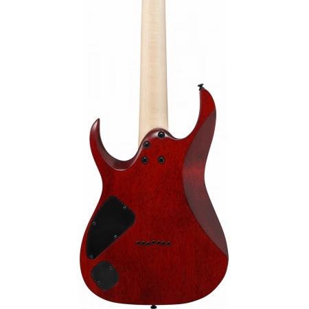 Изображение 5 (Электрогитара IBANEZ RGA742FM-TGF)