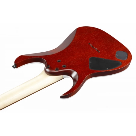 Изображение 3 (Электрогитара IBANEZ RGA742FM-TGF)