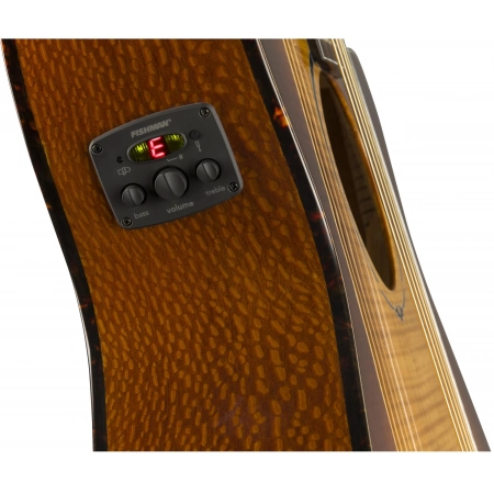 Изображение 2 (Электроакустическая гитара Fender FA-345CE Auditorium Tea-Bst L)