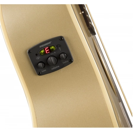 Изображение 3 (Электроакустическая гитара Fender Fender Newporter Player CHP)