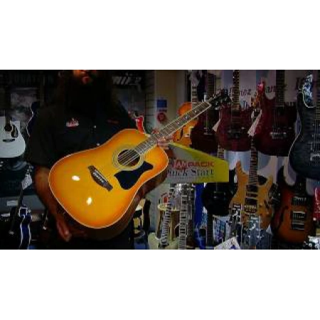 Изображение 2 (Акустическая гитара IBANEZ V50NJP Natural)