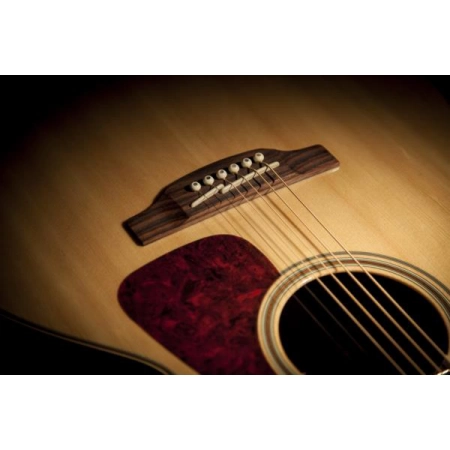 Изображение 5 (Электроакустическая гитара TAKAMINE G90 SERIES GN93CE)