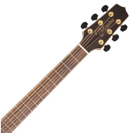 Изображение 2 (Акустическая гитара TAKAMINE G90 SERIES GY93)