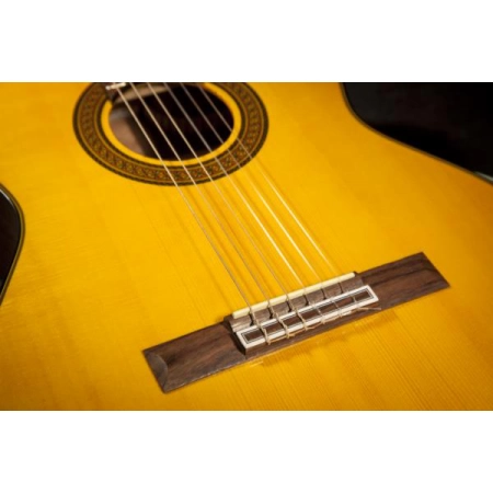 Изображение 3 (Классическая гитара TAKAMINE GC5 NAT)