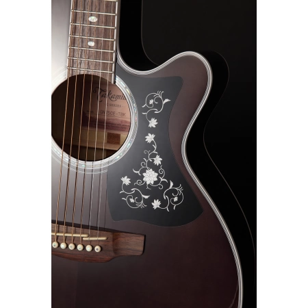 Изображение 4 (Электроакустическая гитара TAKAMINE  GN75CE TBK)