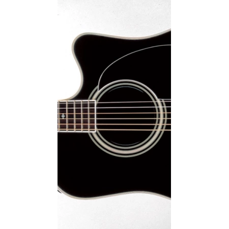 Изображение 2 (Электроакустическая гитара TAKAMINE LEGACY EF341SC)