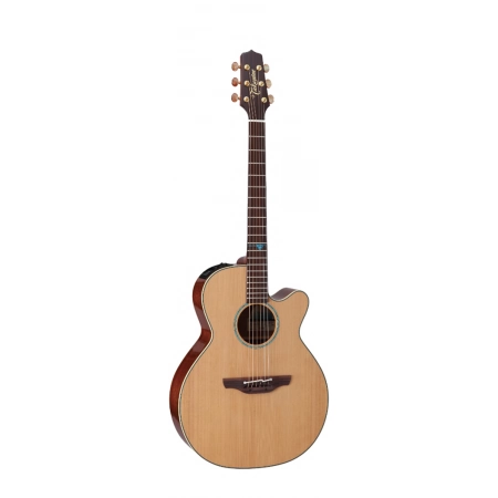 Изображение 1 (Электроакустическая гитара TAKAMINE LEGACY TSF40C)