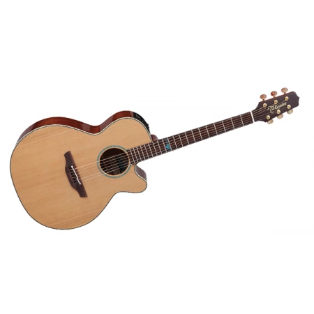 Изображение 5 (Электроакустическая гитара TAKAMINE LEGACY TSF40C)