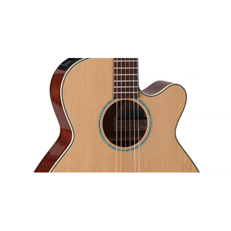 Изображение 3 (Электроакустическая гитара TAKAMINE LEGACY TSF40C)