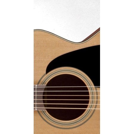 Изображение 5 (Электроакустическая гитара TAKAMINE PRO SERIES 1 P1JC)