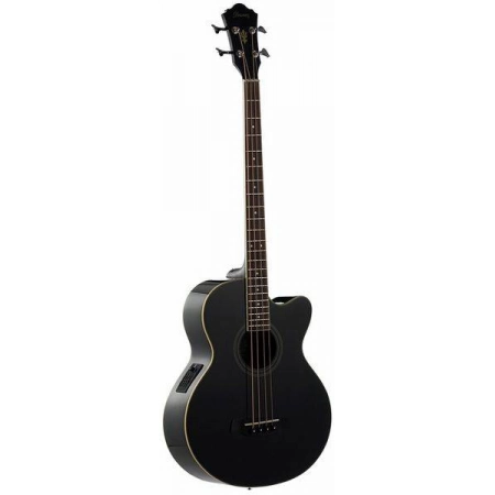 Изображение 9 (Электроакустическая бас-гитара IBANEZ AEB8E Black)