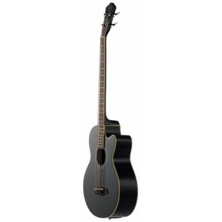 Изображение 5 (Электроакустическая бас-гитара IBANEZ AEB8E Black)