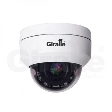 Видеокамера GIRAFFE GF-DIRZ04HD2.0