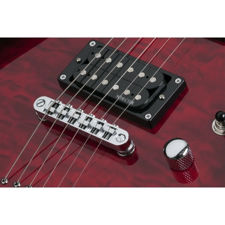 Изображение 5 (Гитара электрическая Schecter C-6 PLUS OBB)