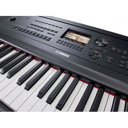 Изображение 4 (Интерактивный синтезатор Yamaha DGX-670B)