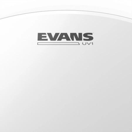 Изображение 2 (14' однослойный пластик Evans B14UV1)