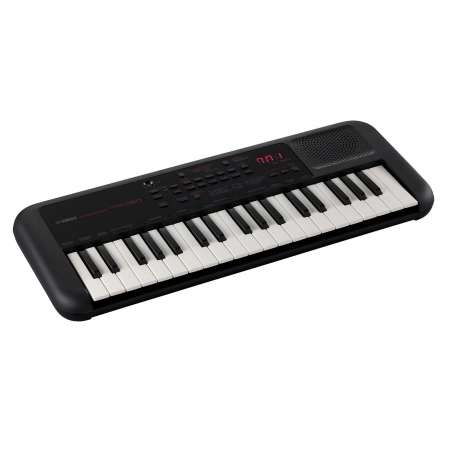 Изображение 1 (Портативный синтезатор Yamaha PSS-A50)